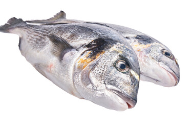  Two uncooked fishes over white isolated background