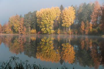 Fall time, colorful trees