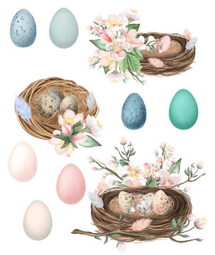 Set of spring bird nests and eggs with apple tree flowers, easter compositions, hand drawn isolated illustration on white background