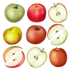 Set of hand drawn isolated apples illustration on a white background