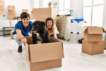 Young caucasian couple smiling happy transporting dog into cardboard box as a car at new home.