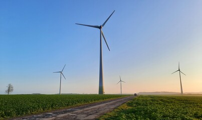 Route agricole au milieu d'un champ d'éoliennes