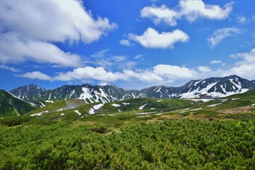 立山連峰　初夏の風景