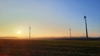 Fototapeta na wymiar Lever de soleil sur un champ d'éoliennes à la campagne