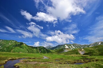 Obraz na płótnie Canvas 立山連峰　初夏の風景