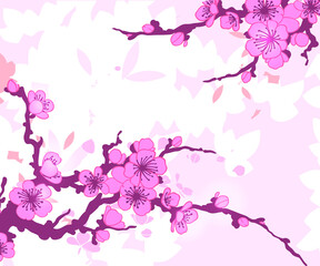 Branch of Sakura vector illustration
