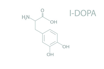 Fototapeta na wymiar I-dopa molecular skeletal chemical formula. 