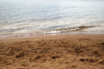 Wide flood of the Vuoksa river. Beach brown sand on which the remains of a reed lie, a river with clear clear water on it small waves.