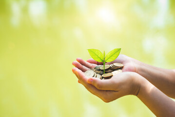 hand of business woman holding golden coin on hands with green plant leaves growth against green blur nature background. money saving, business financial growth, economy budget and investment concept.