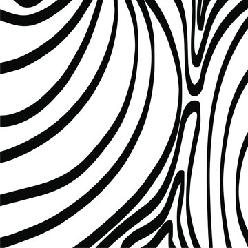 vector pattern zebra black and white background