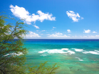 Fototapeta na wymiar ハワイ、オアフ島、ダイヤモンドヘッドロードから見る海