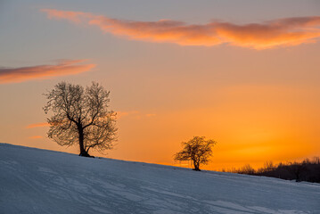Fototapeta na wymiar Sunrise in the Snow