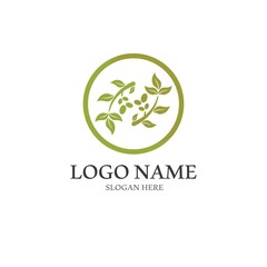 olive icon vector illustration design