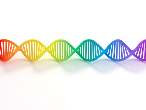 Multi color dna model isolated on white background	