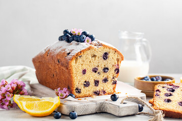  Homemade lemon blueberry cake or fruitcake. Spring breakfast. White background. - obrazy, fototapety, plakaty