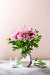 Bouquet of pink flowers of tree peony in glass vase on beige background. Still life.