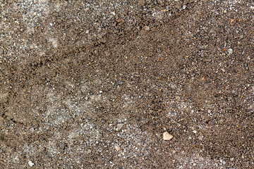 The cement wall has a unique gray texture and rough surface, used for the background