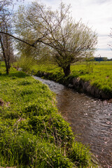 Bachlauf der Umlach bei Mühlhausen in Oberschwaben