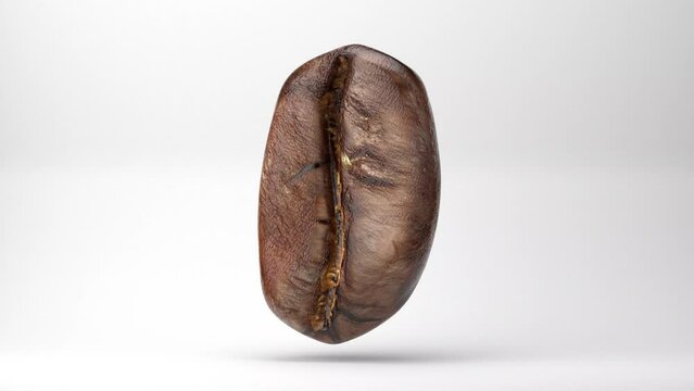 Coffee Bean 3D Model - 360 Rotation Forever Loop Turntable Footage with natural white background