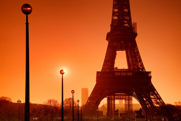 Eiffel tower and Street lamps of the Trocadero garden