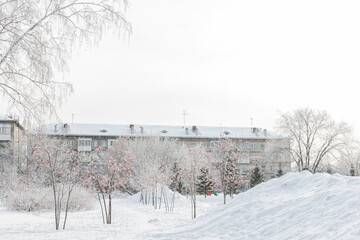 Beautiful city landscape in snowy winter 