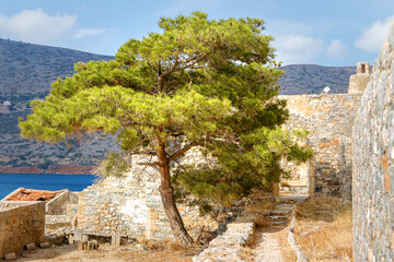 Ruinen auf der Lepra-Insel Spinalonga vor der griechischen Kreta, Griechenland