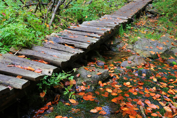 old wooden bridge over mountain brook