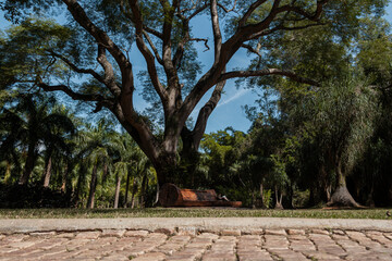 Fototapeta premium Inhotim, Brumadinho, Minas Gerais, Brazil: Museum of Contemporary Art