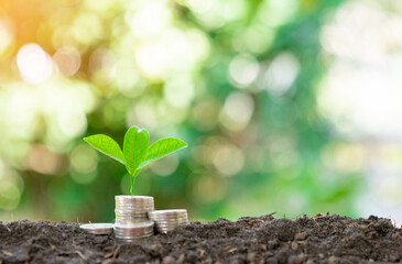 Plants Growing on coin stack and soil on blur background.
