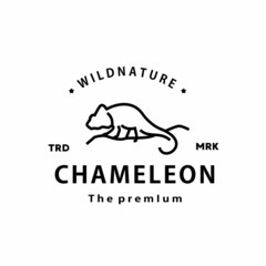 vintage retro hipster chameleon logo vector reptil outline monoline art icon