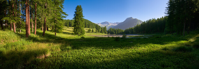 Queyras Regional Nature Park with Lac de Roue lake in Summer (panoramic). Arvieux in the...