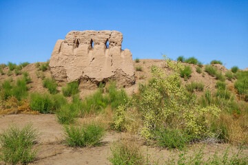 Walls of Zoroastrian temple complex Koi-Krylgan-Kala (400 BC), Karakalpakstan, Uzbekistan. Unique 2-storey building that has no analogue in antique world. Flowering saxaul on right side
