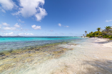 Saint Vincent and the Grenadines, Petit Tabac, Tobago Cays, West Indies