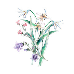 Watercolor bouquet of lilies and meadow bell flowers on white background.