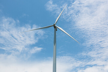Fototapeta premium Wind turbines produce electricity as clean energy.