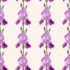 Fototapeta na wymiar Vector seamless pattern with flowers of iris. Design with beautiful iris flowers.