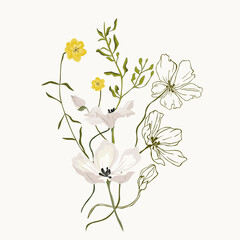 Wild flowers bouquets. Vector illustration.
