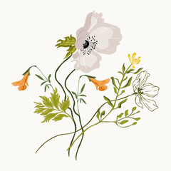 Wild flowers bouquets. Vector illustration.
