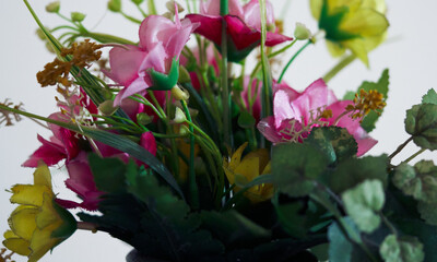 pink and white flowers
