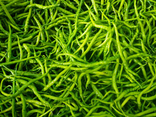 High angle green chili peppers shot with day light