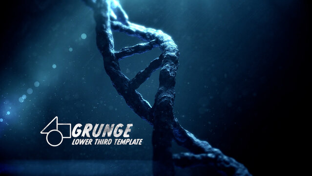 Grunge Logo Lower Third Template