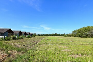 Paddy Fields on Koh Yao Noi