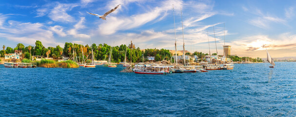 Nile scenery with boats and Aswan landscape, Egypt