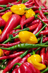 Close-up of mixed red, green and yellow hot chili peppers