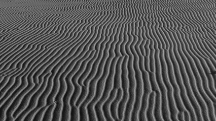 Obraz premium natural patterns in the sand
