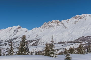 A picturesque landscape view of the French Alps mountains and tall pine trees covered in snow on a...