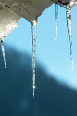 Naklejka na ściany i meble Close-up of melting icicles on blue background