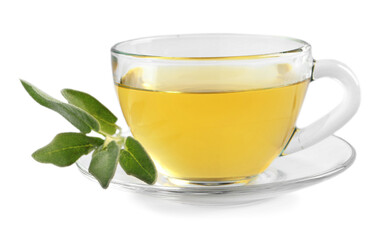 Cup of aromatic sage tea and fresh leaves isolated on white