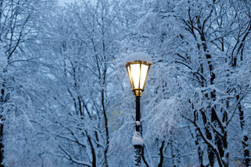 Fototapeta na wymiar luminous street lamp in the park in winter