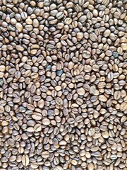 Brown coffee beans for making coffee